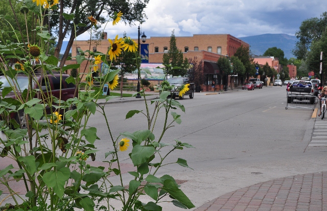 Carbondale historic district